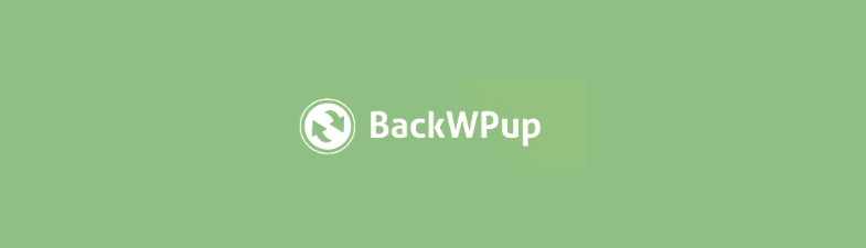 Best Backup Plugins For WordPress Websites